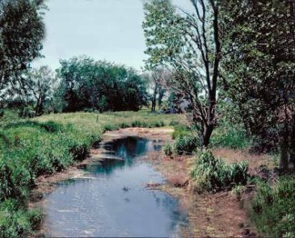 Image, stream in a wooded area.