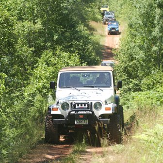 Image of 4X4 Trucks