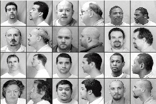 Image of several sex offenders, taken from the Department of Corrections website