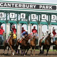 Image of start of horse race at Canterbury Park